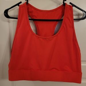 Plus Size Fabletics Sports Bra